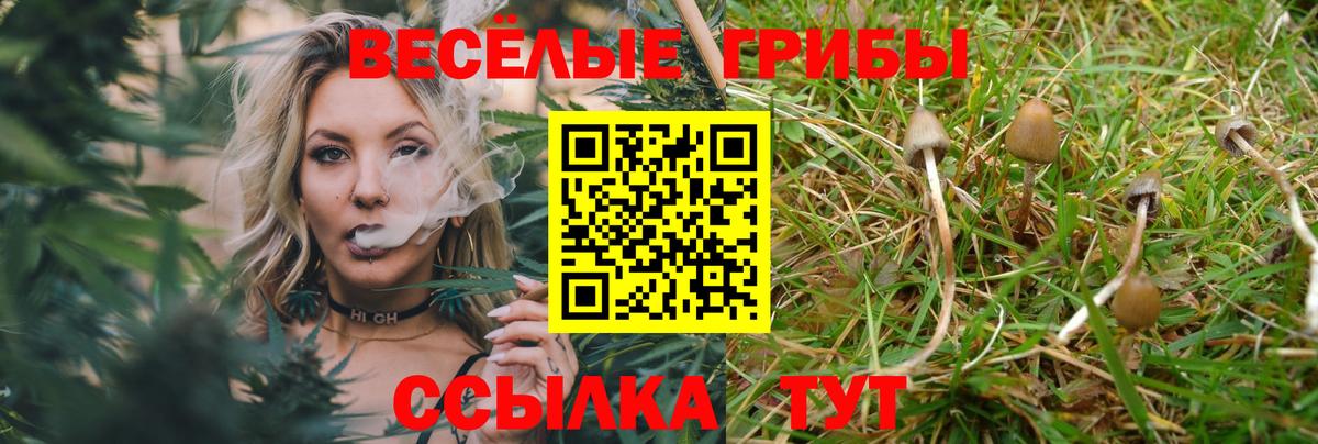 Богородск  Галлюциногенные грибы GOLDEN TEACHER  Вход с VPN 
